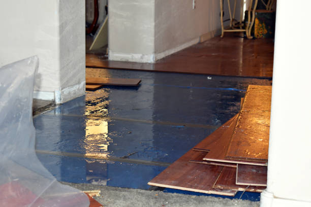 Professional Flood Damage Repair technician working in Harrisburg, MO